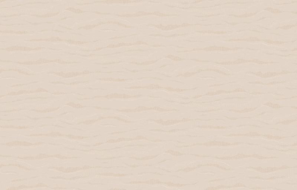 Loymina Equator QTR6 001