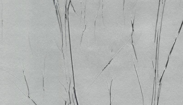 Marburg Crush Motion 63425