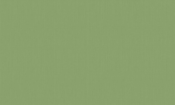 A. Grifoni Palazzo Ragione 7028-9