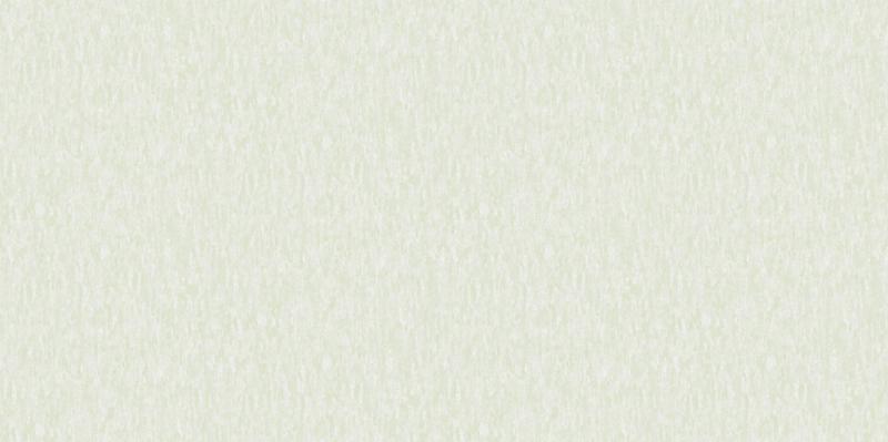 A. Grifoni Palazzo Ragione 7026-2