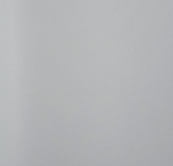 Alessandro Allori Rebecca 15003-10