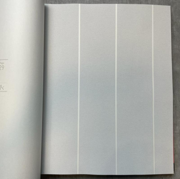 Andrea Rossi Spectrum Pro 54387-11