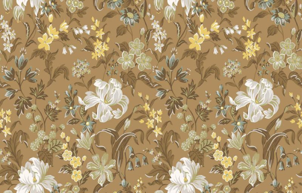 Loymina Equator QTR4 004_1