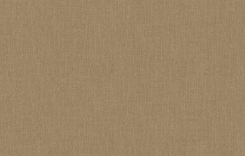 Loymina Shade SD2 012_3