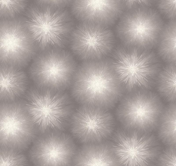 Loymina Timeless TS1 011