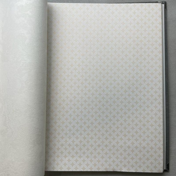 A. Grifoni Palazzo Ragione 7027-3