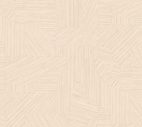 Loymina Terra TER1 001/2