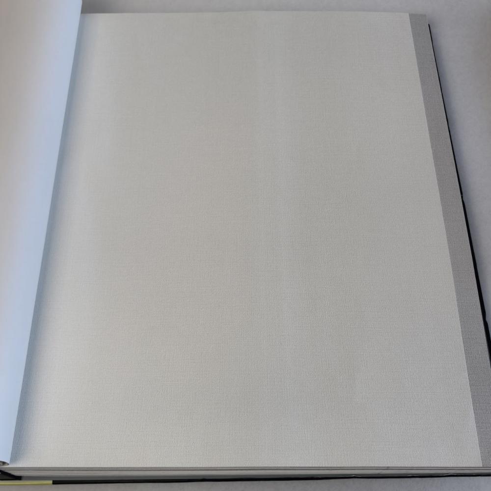 Andrea Rossi Spectrum Box 54459-1