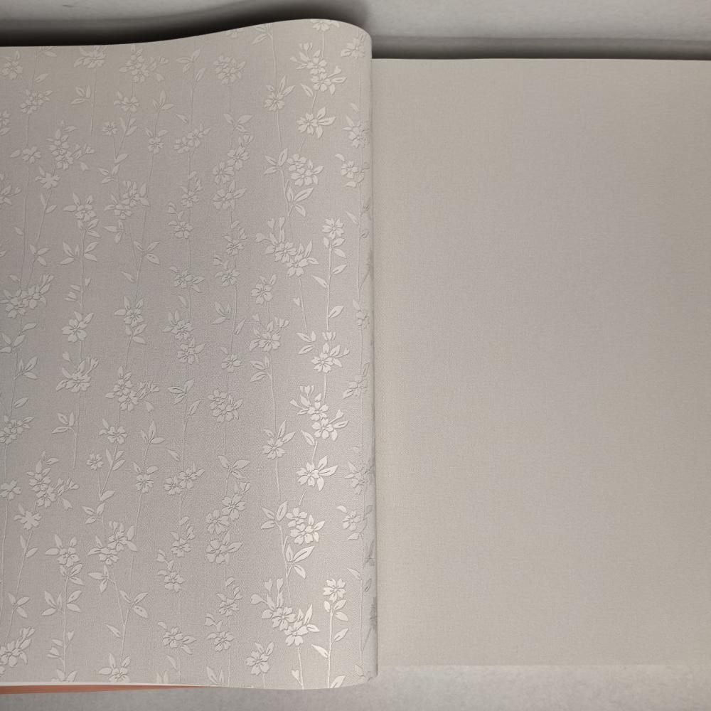 Andrea Rossi Berggi 54450-1