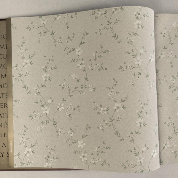 Alessandro Allori Bruni RBN 1001-1