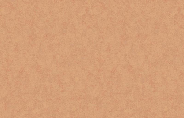 Loymina Shade SD3 007_2