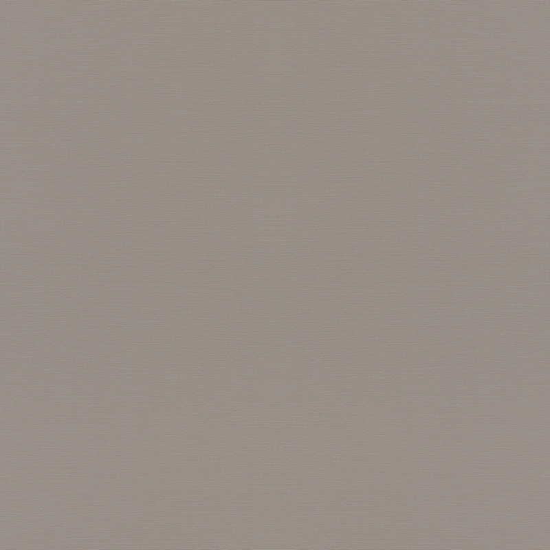 Rasch Natural Colors 687545