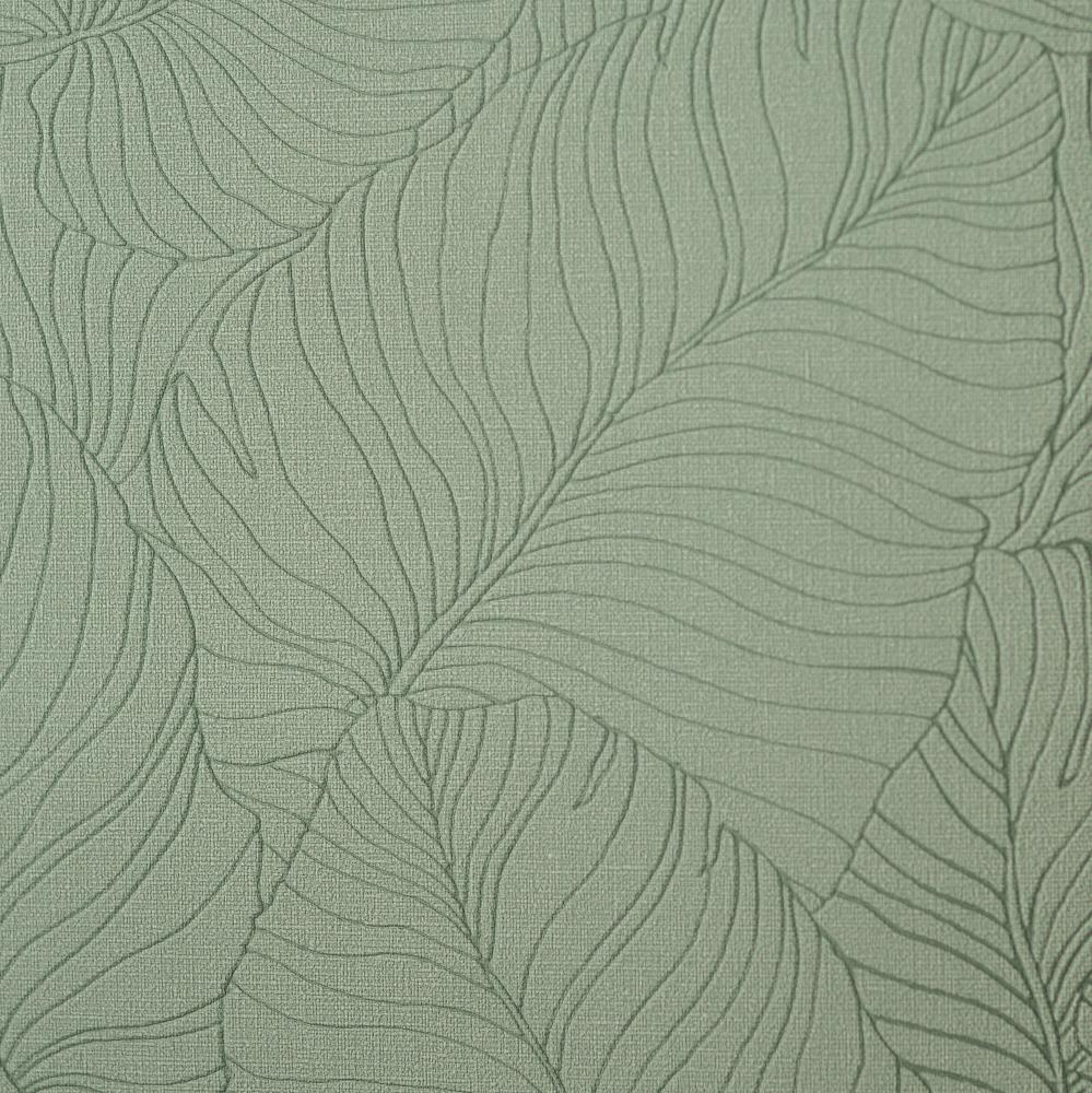 Andrea Rossi Palmaria 54464-9