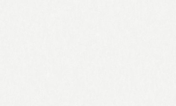 Rasch Bright Whisper W 190001