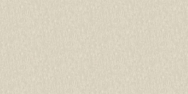 A. Grifoni Palazzo Ragione 7026-6