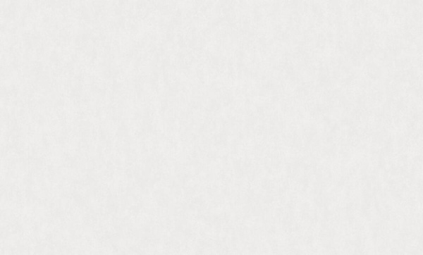 Rasch Bright Whisper W 190013