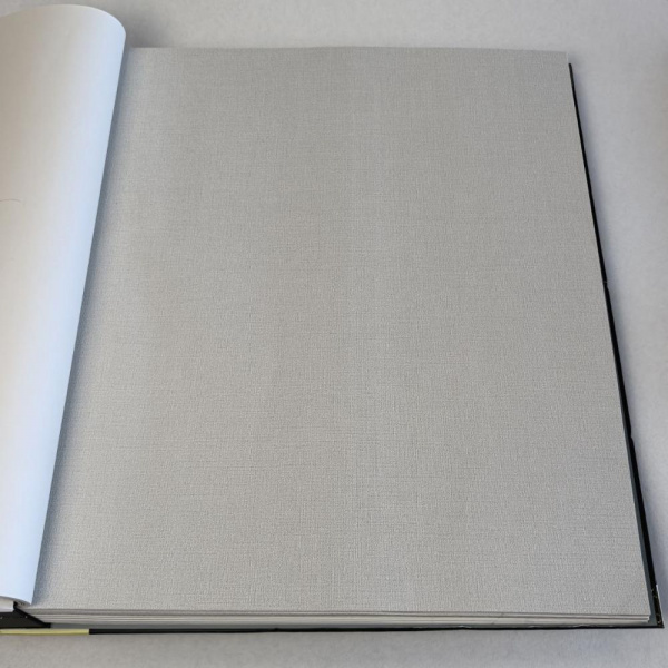 Andrea Rossi Spectrum Box 54459-4