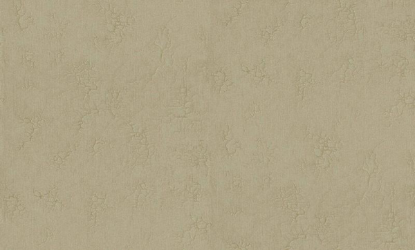 Bernardo Bartalucci Giulia 84126-5