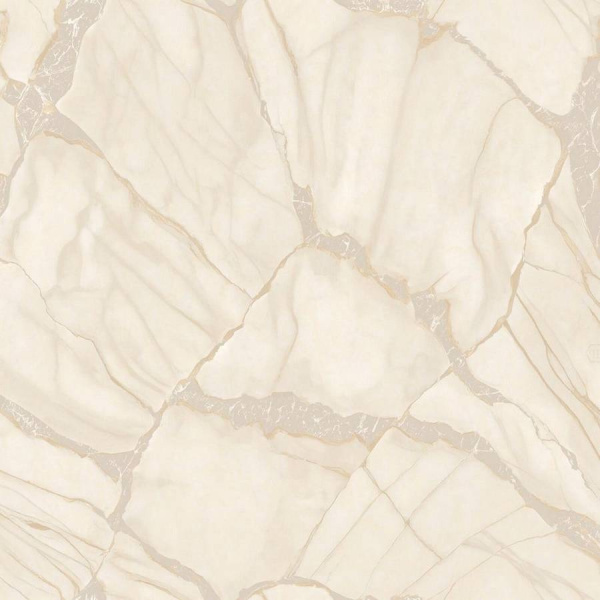 Zambaiti Parati Philipp Plein Z 81039