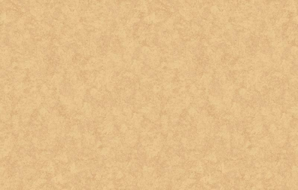 Loymina Shade SD3 112