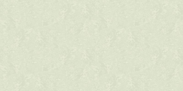 A. Grifoni Palazzo Ragione 7025-6