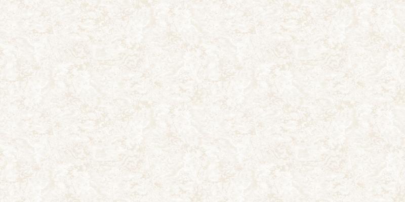 A. Grifoni Palazzo Ragione 7025-3