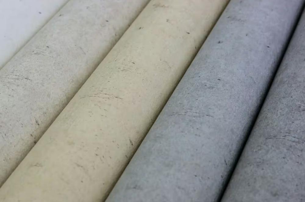 Rasch Beltesto 520859