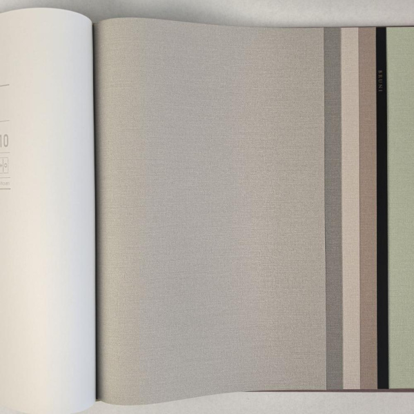 Alessandro Allori Bruni RBN 1003-11