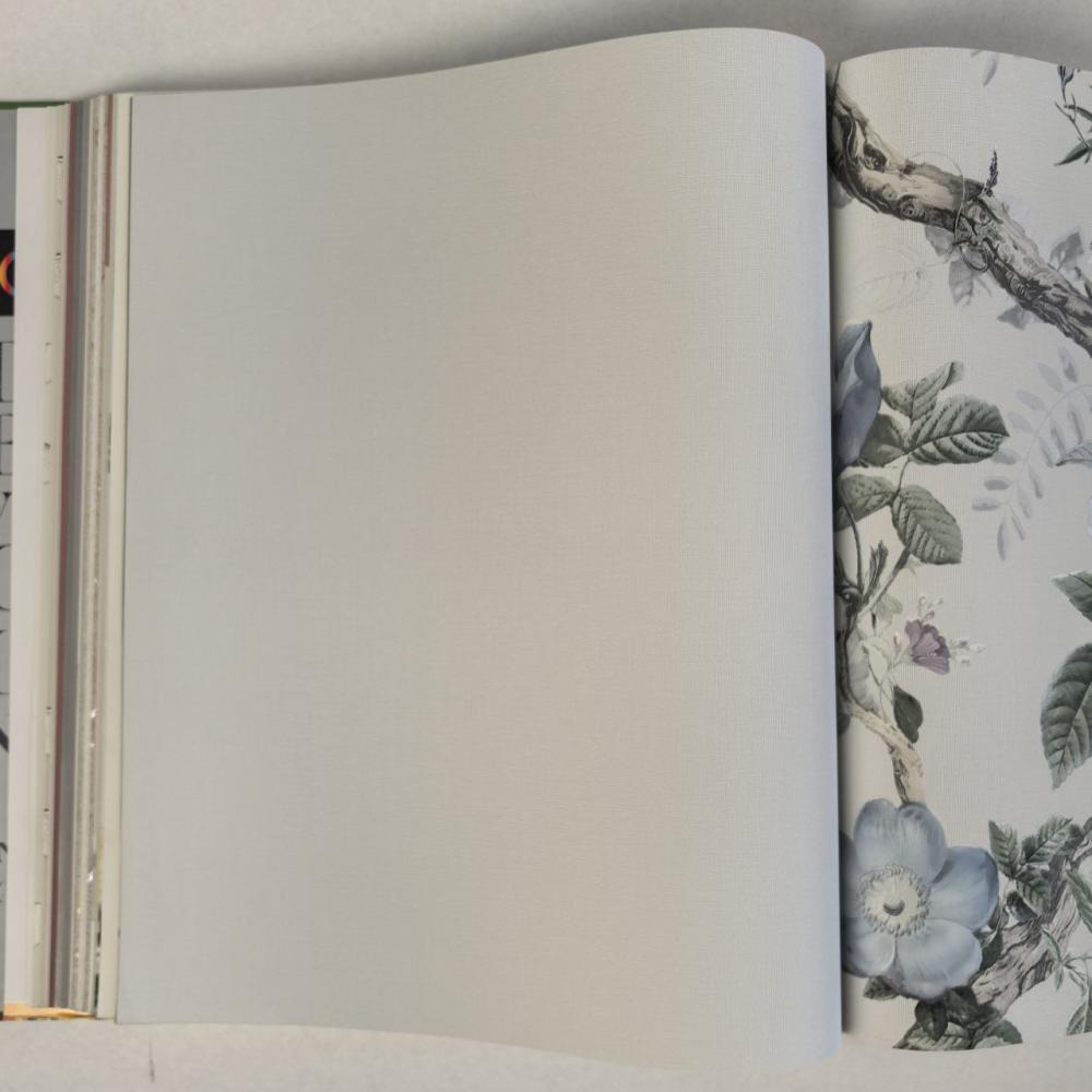 Andrea Rossi Cavolli 54420-6