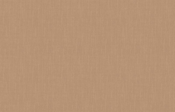 Loymina Shade SD2 007_2