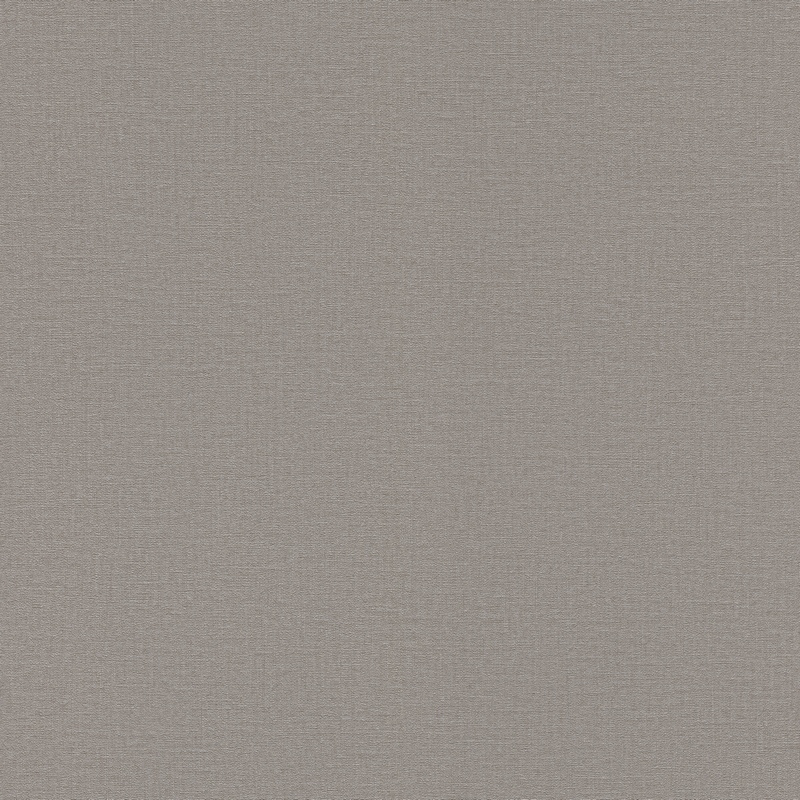 Rasch Natural Colors 555875