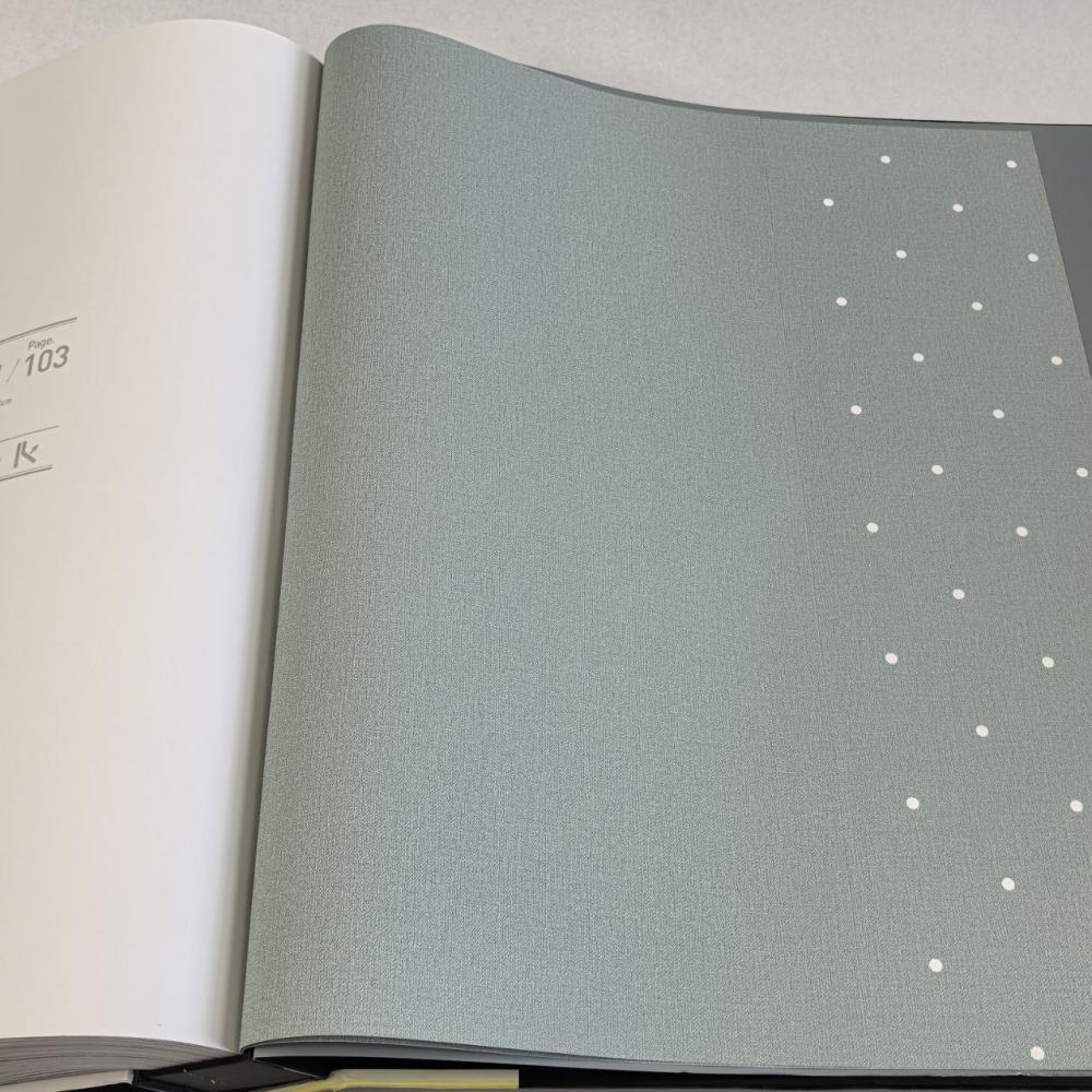 Andrea Rossi Spectrum Box 54455-13