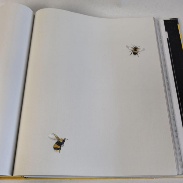 Andrea Rossi Cavolli 54419-2