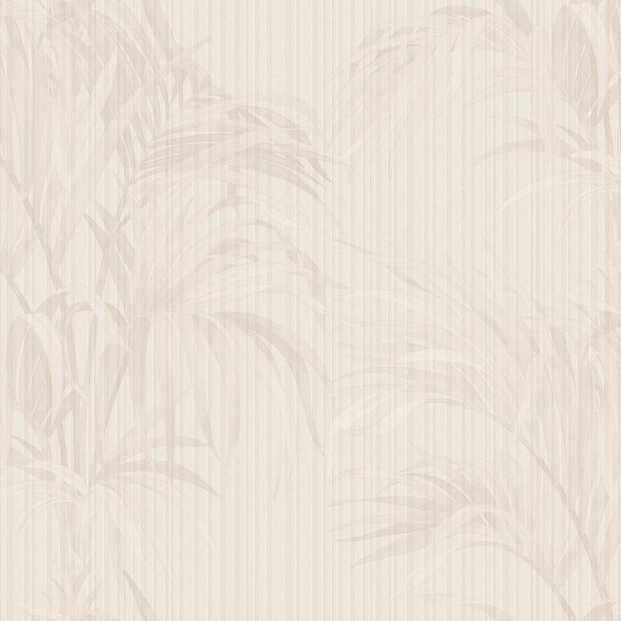 Zambaiti Parati Philipp Plein Z 81018