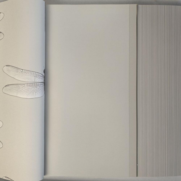 Andrea Rossi Cavolli 54424-4